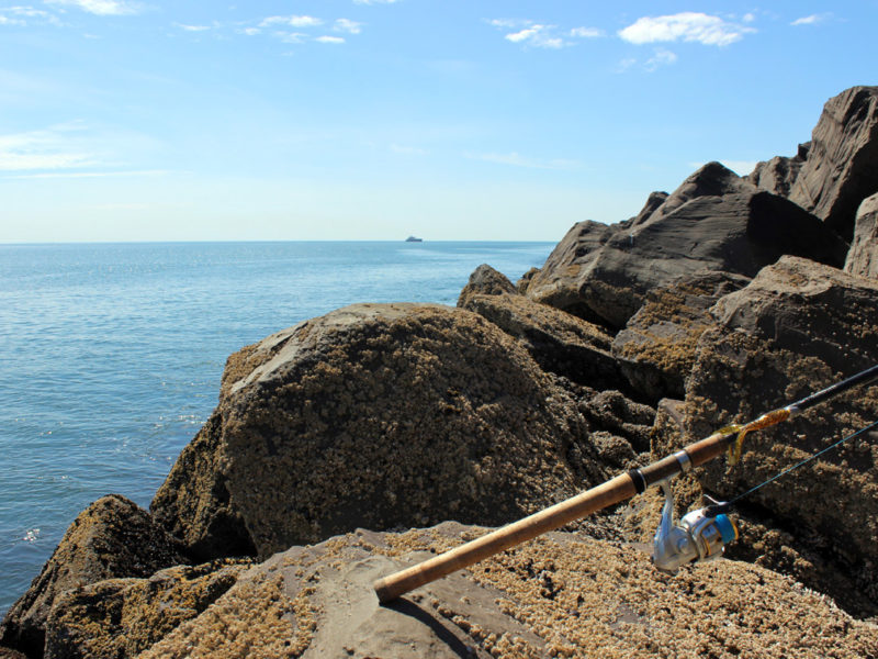 Westport Jetty Fishing Report May 12
