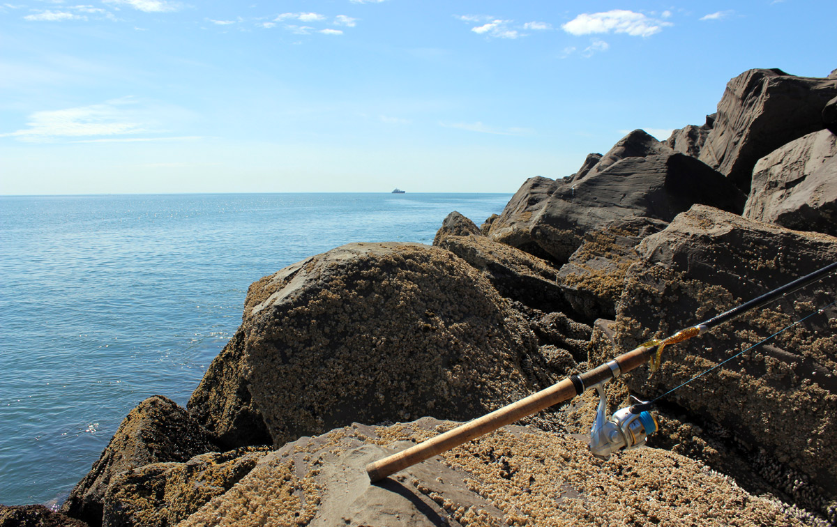 Westport Jetty Fishing Report May 12