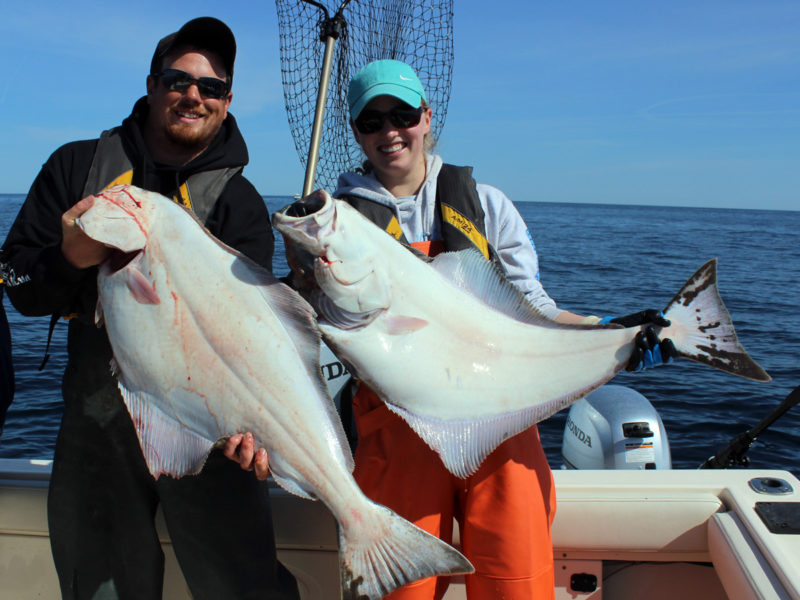 Westport Halibut Fishing Report