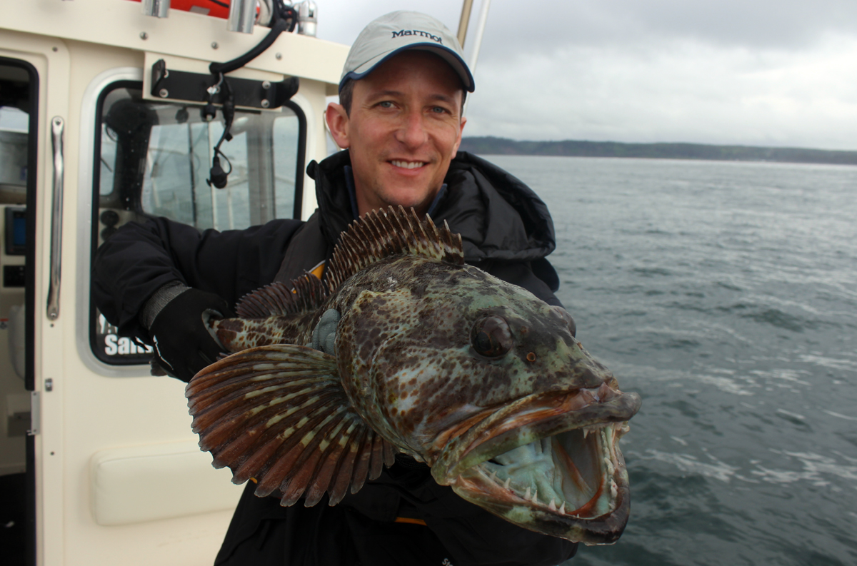 How to Catch Lingcod Riptidefish