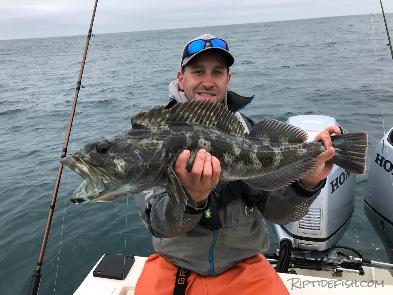 Westport Lingcod and Rockfish Adventure