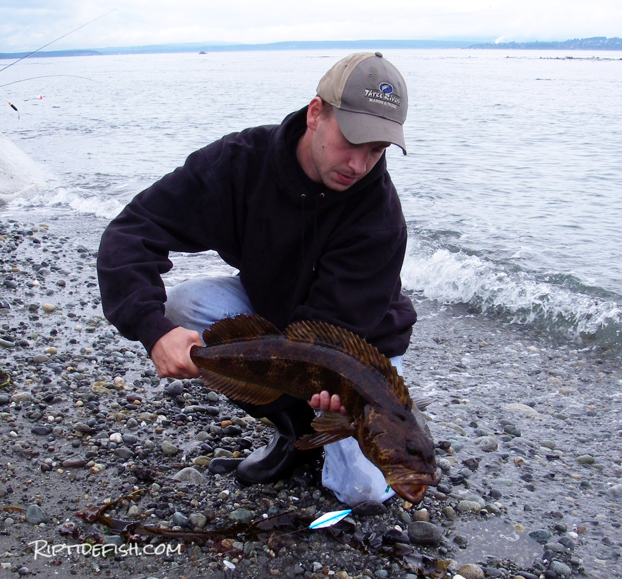Lingcod Jetty Fishing in Washington