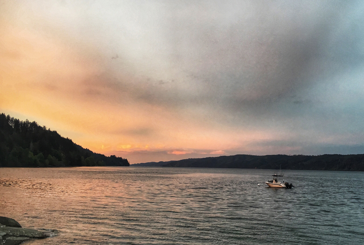 Lilliwaup Spot Shrimp Haul