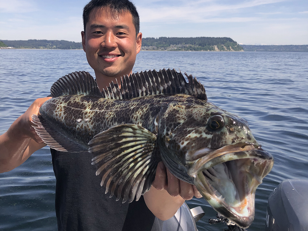 Puget Sound Lingcod Fishing