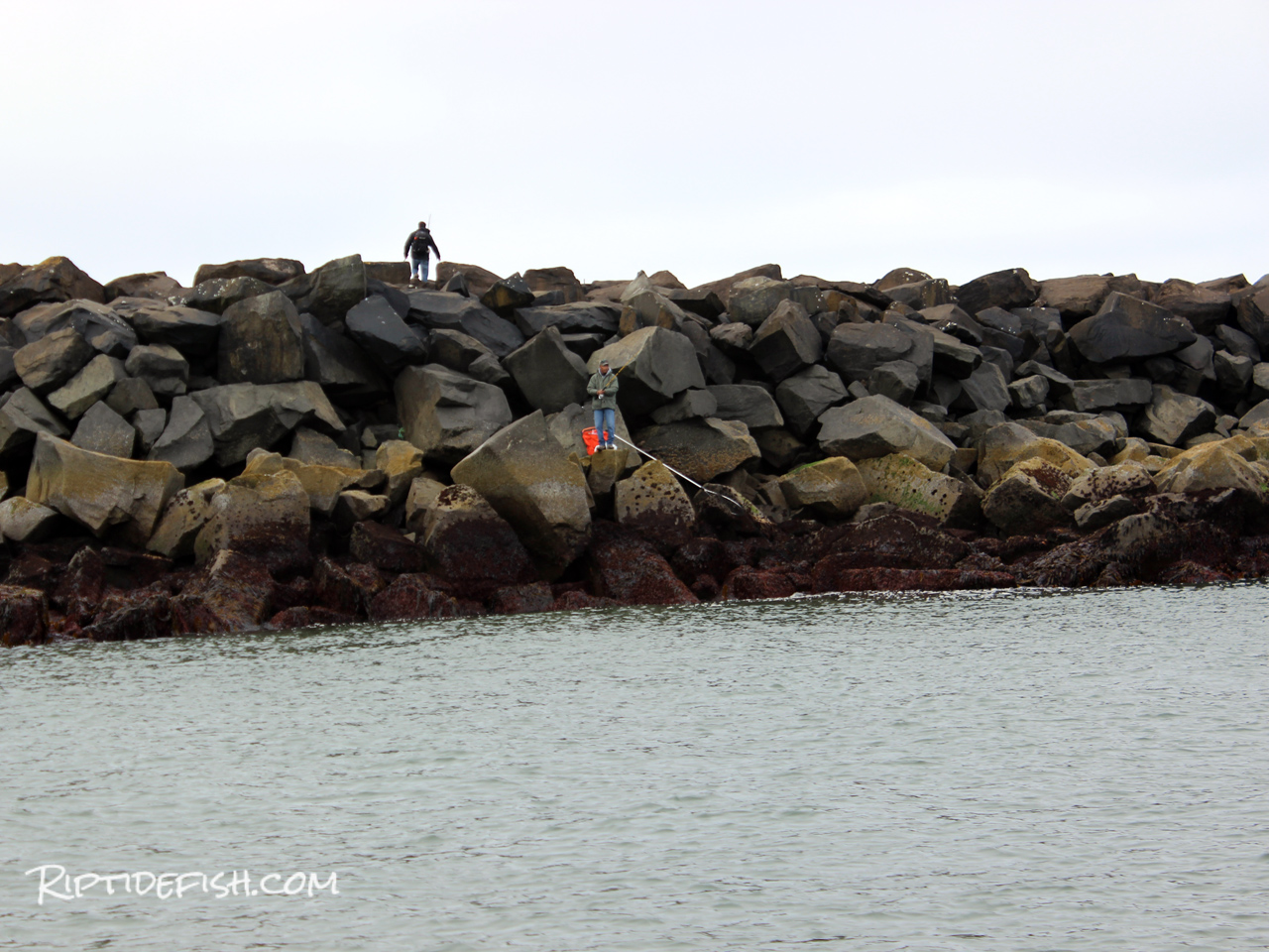 Lingcod Jetty Fishing in Washington
