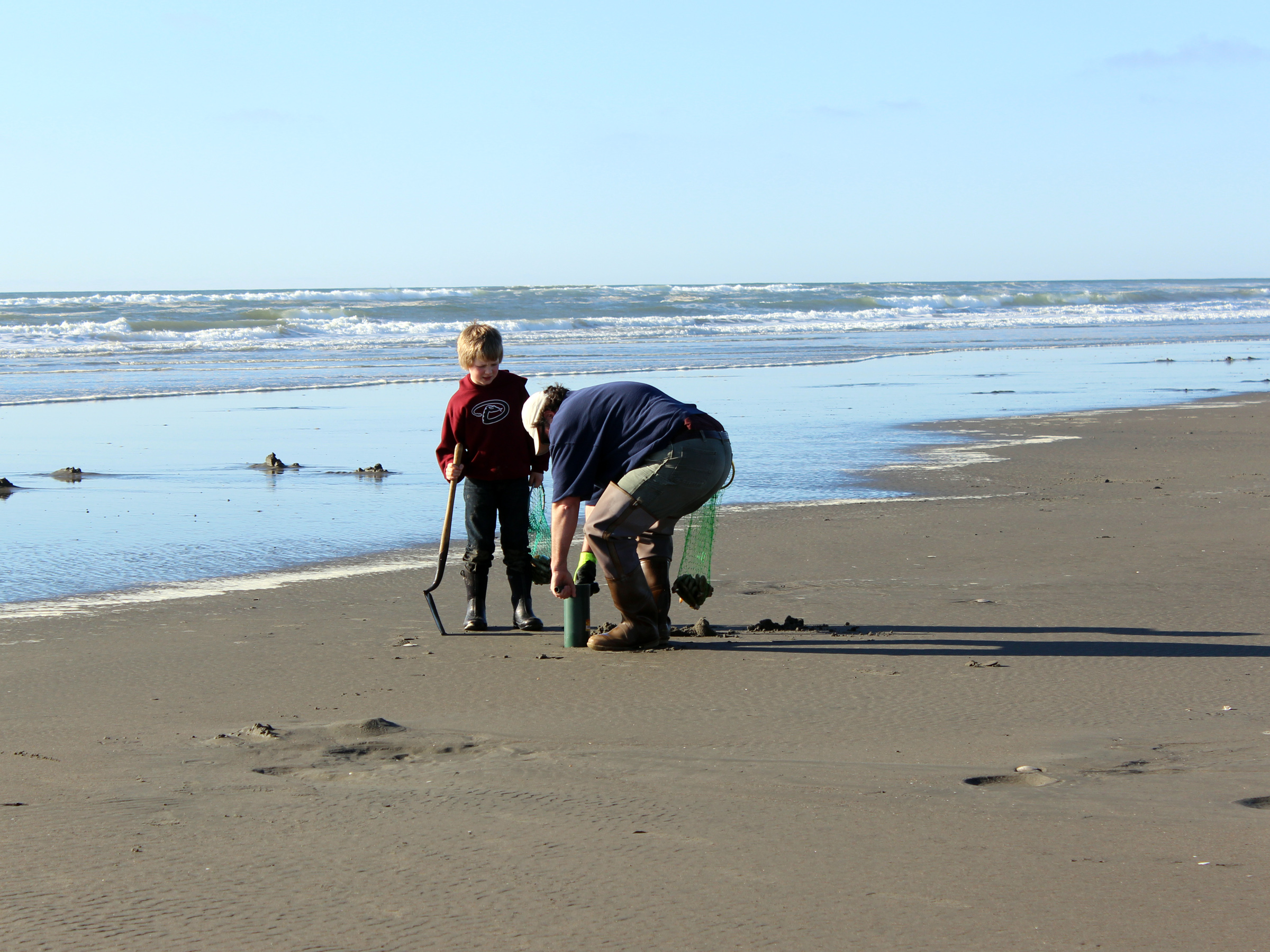Razor Clam Seasons November & December 2019 Riptidefish