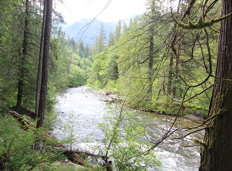 The Ultimate Guide to Snoqualmie River Trout Fishing