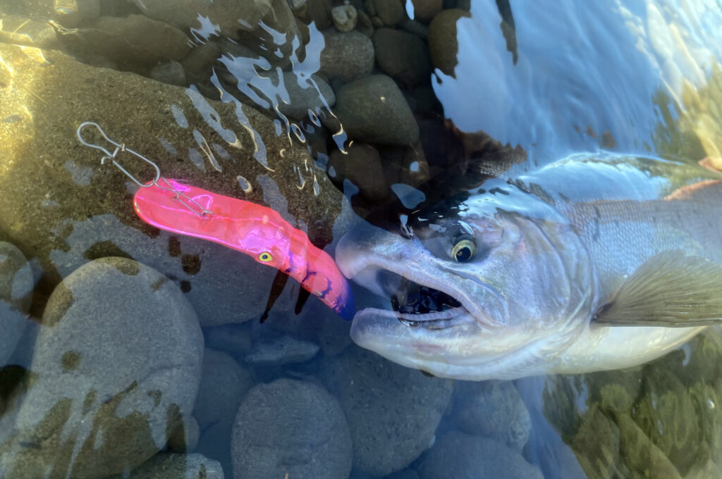 Queets River Salmon Fishing Adventure