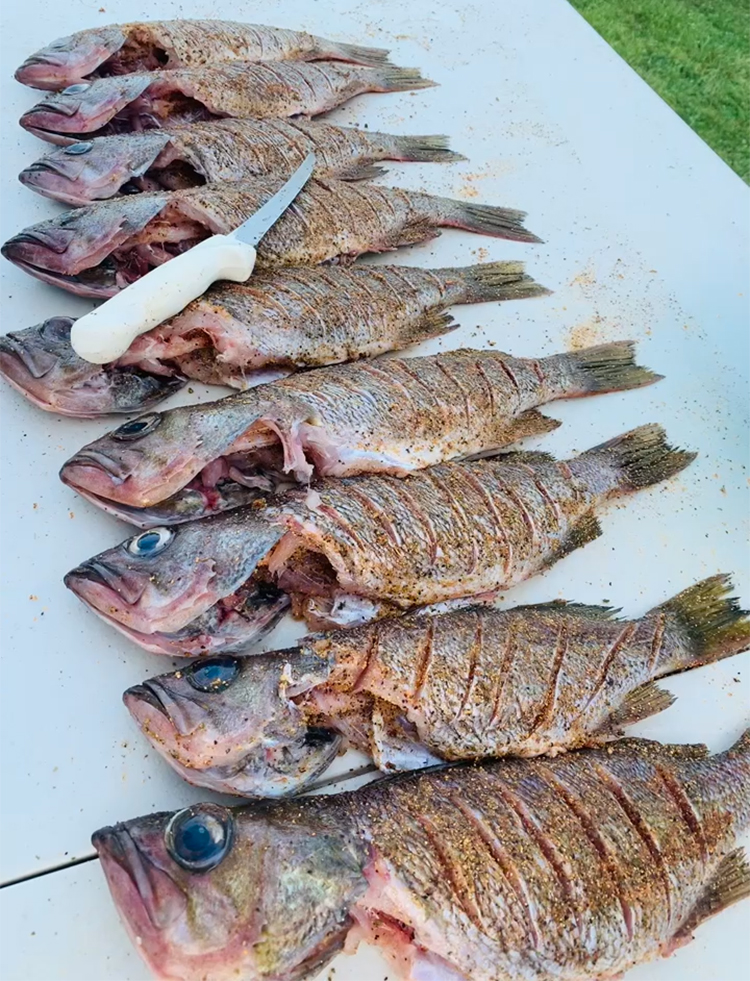 Westport Crew House Fried Whole Rockfish