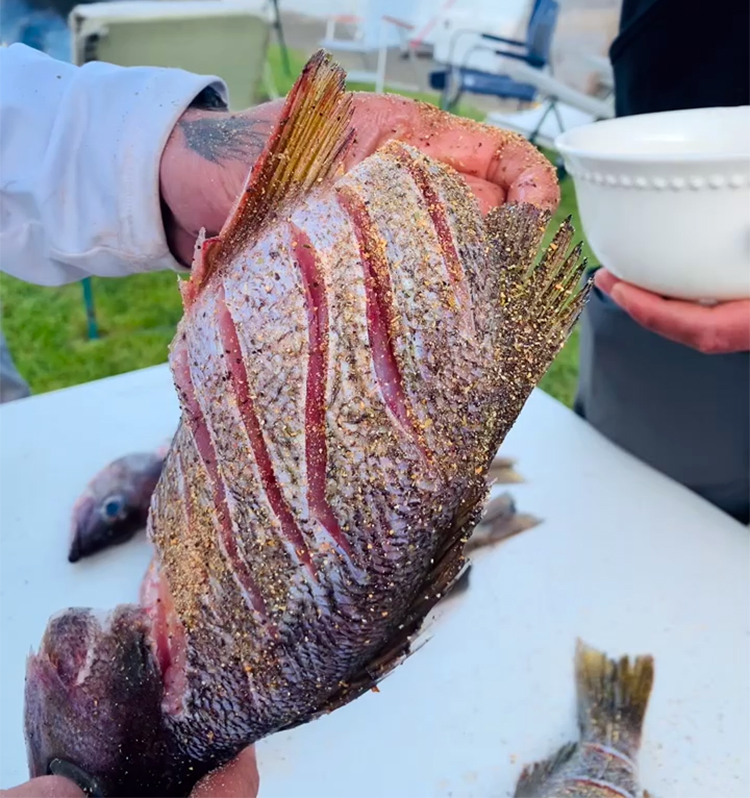 Westport Crew House Fried Whole Rockfish