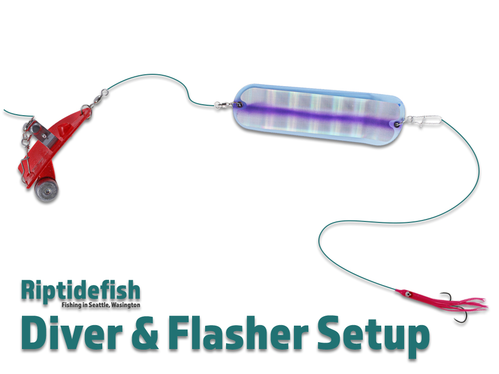 My Favorite Saltwater Coho Salmon Lures & Rigs