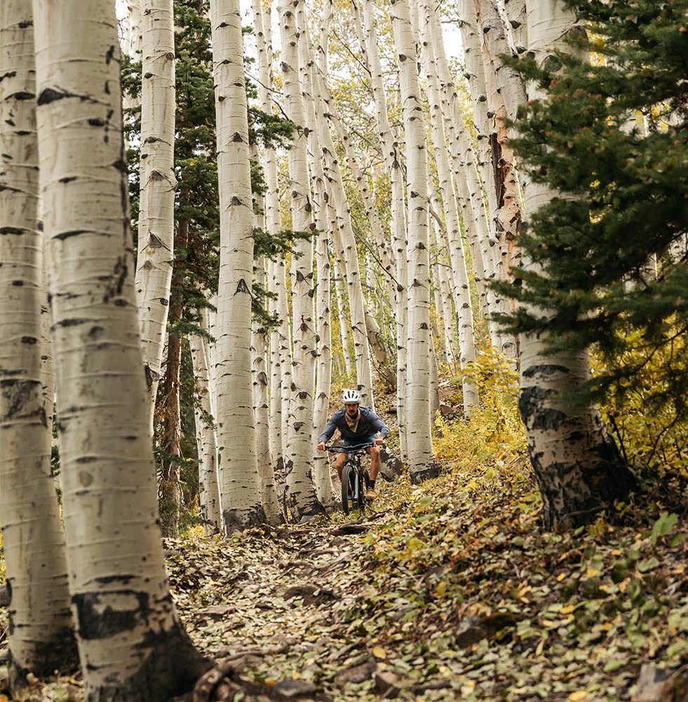 Local Moments Ripton