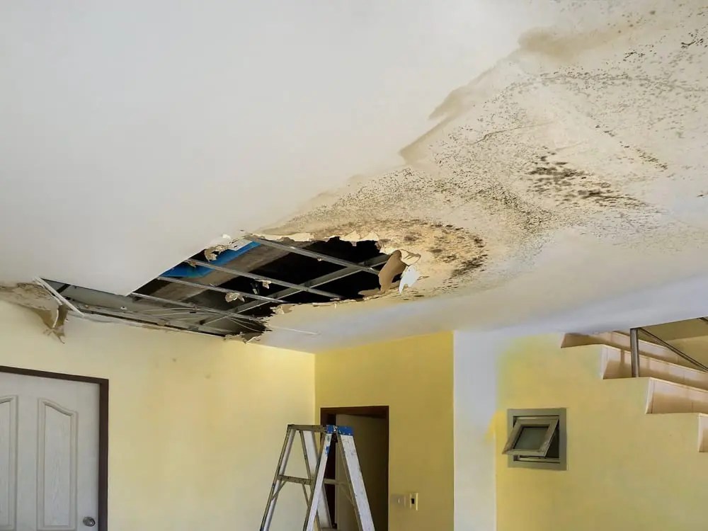 How To Tell If Water Damage Is New Or Old RI Restoration