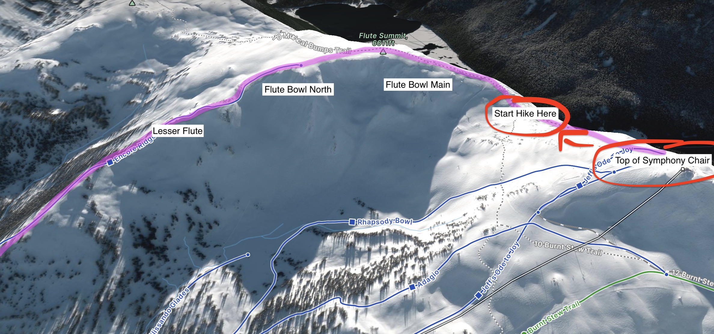 A Local’s Guide to Skiing FLUTE BOWL in Whistler Rise & Alpine