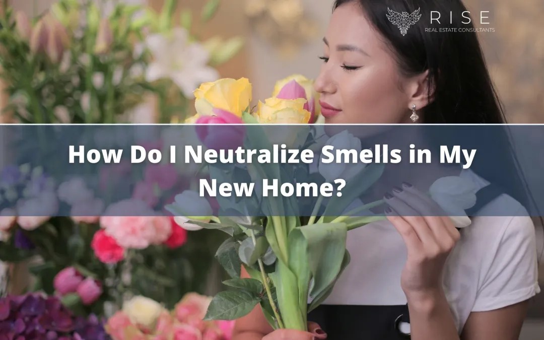 How Do I Neutralize Smells in My New Home? RISE Real Estate Consultants