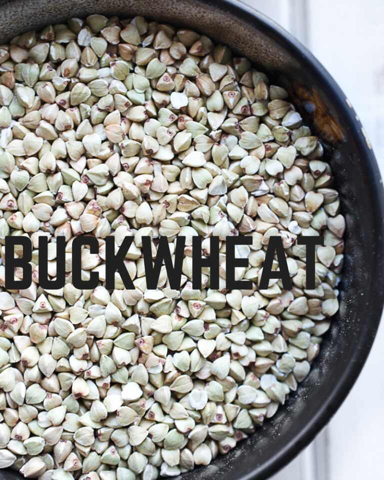 4Grain Slow Cooker Porridge + Apple Compote PlantBased Recipes by