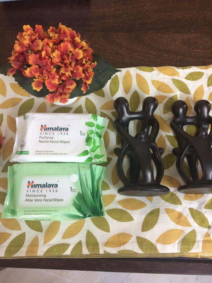 Review Himalaya Facial Wipes Rish Says…