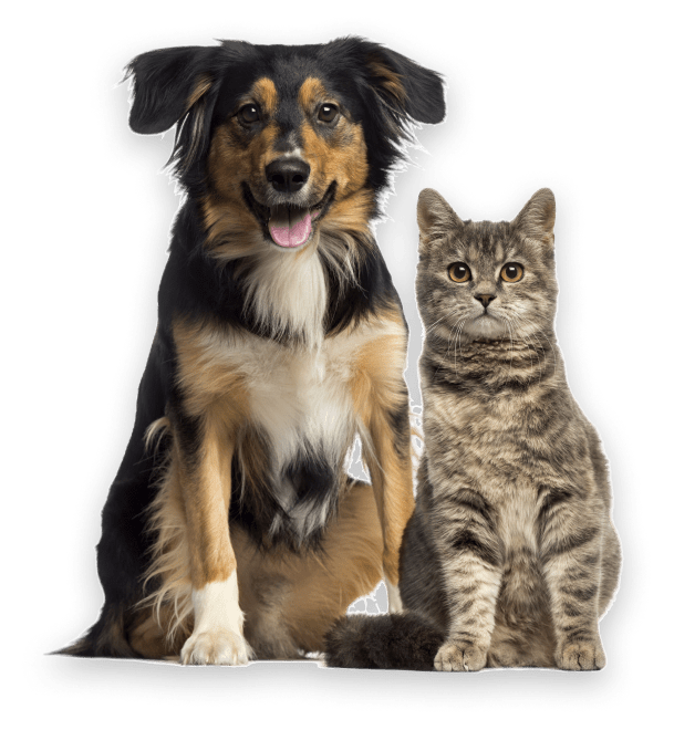 Rising Sun Veterinary Hospital