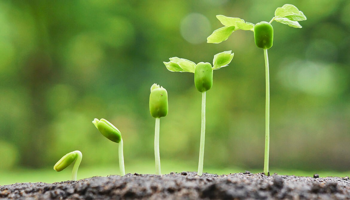 Riskonnect One of the Fastest Growing Companies in Atlanta