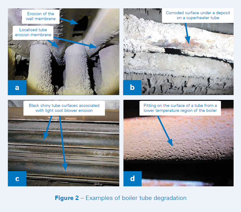 Boiler Tube Life Management Critical issues for biomass and energy