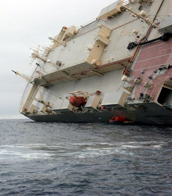 Diversity And Resilience | Riskviews