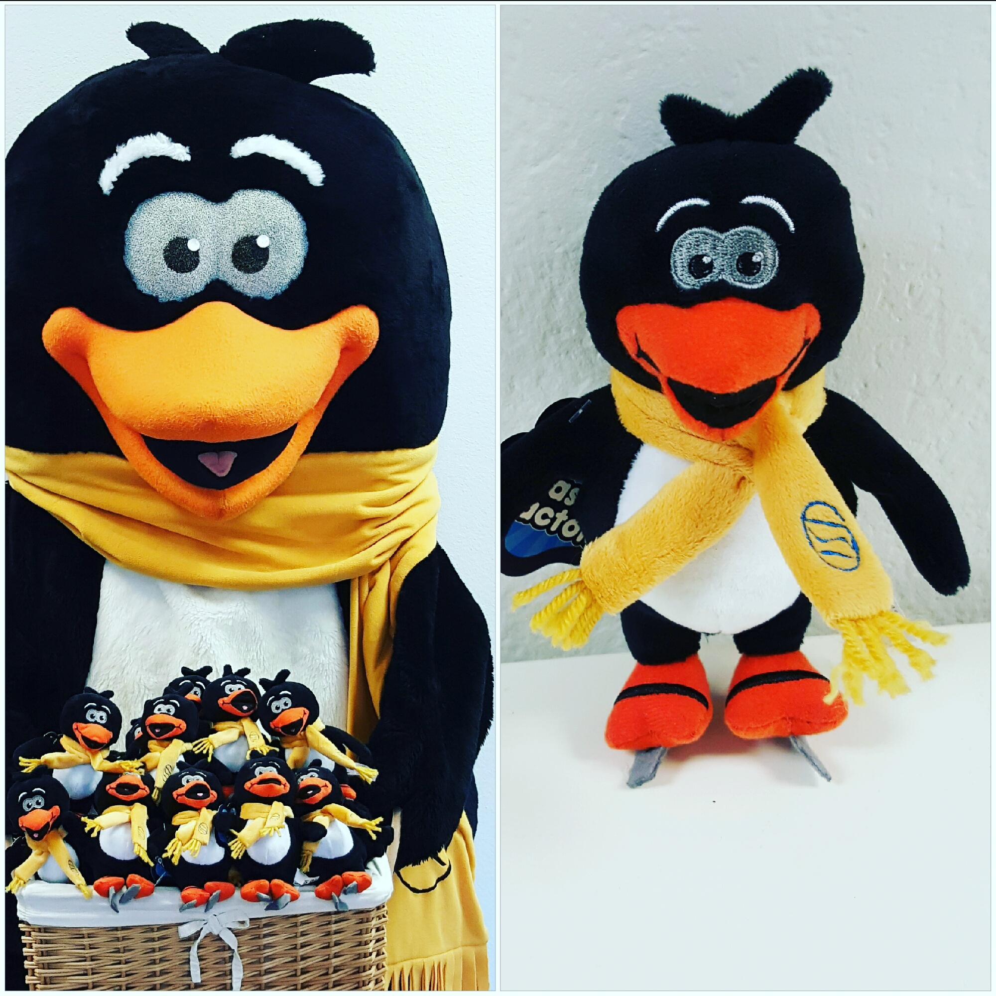 Enjoy Your Own Flip! ISI