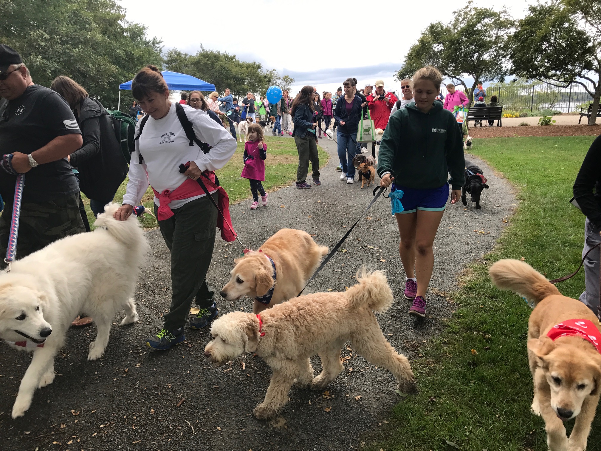 23,000 Raised at The 15th Annual Dog Walk Rhode Island SPCA