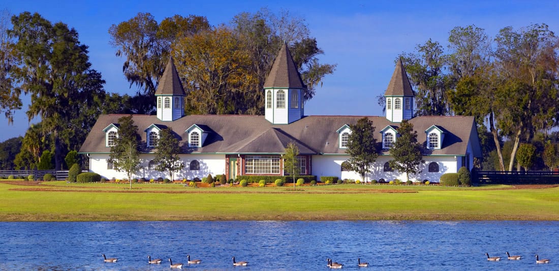 Silverleaf/Padua Stables Rispoli & Associates