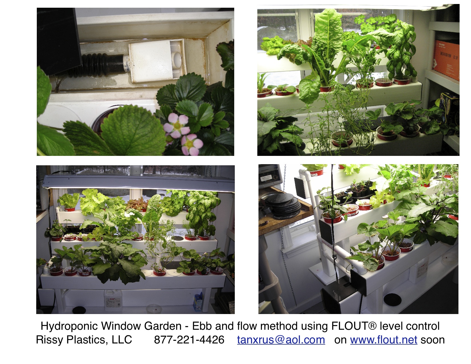 Ebb And Flow Aquaponics uptownmoms