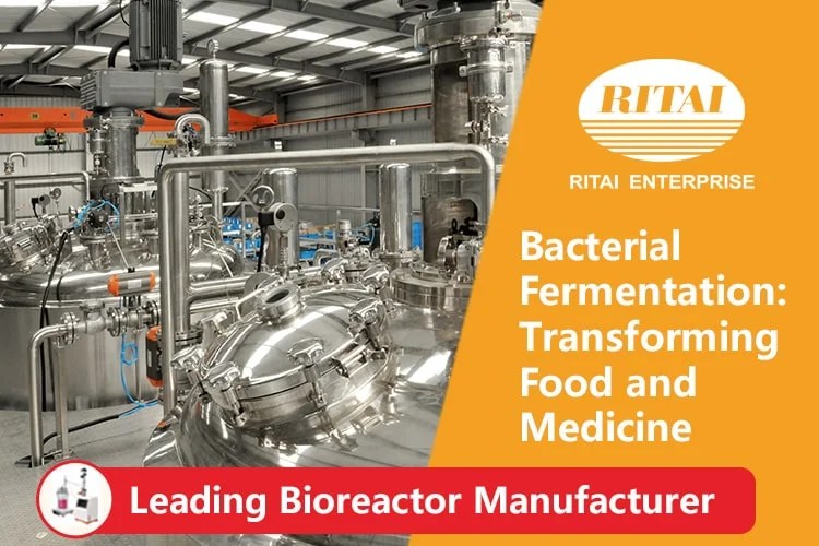 Bacterial Fermentation Transforming Food and Medicine Ritai Bioreactor