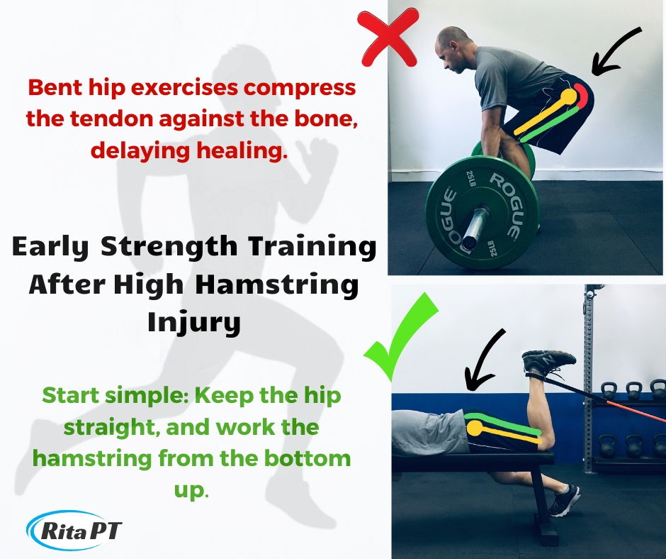 How to Get Back Into Strength Training After A High Hamstring Injury Rita Chorba, PT