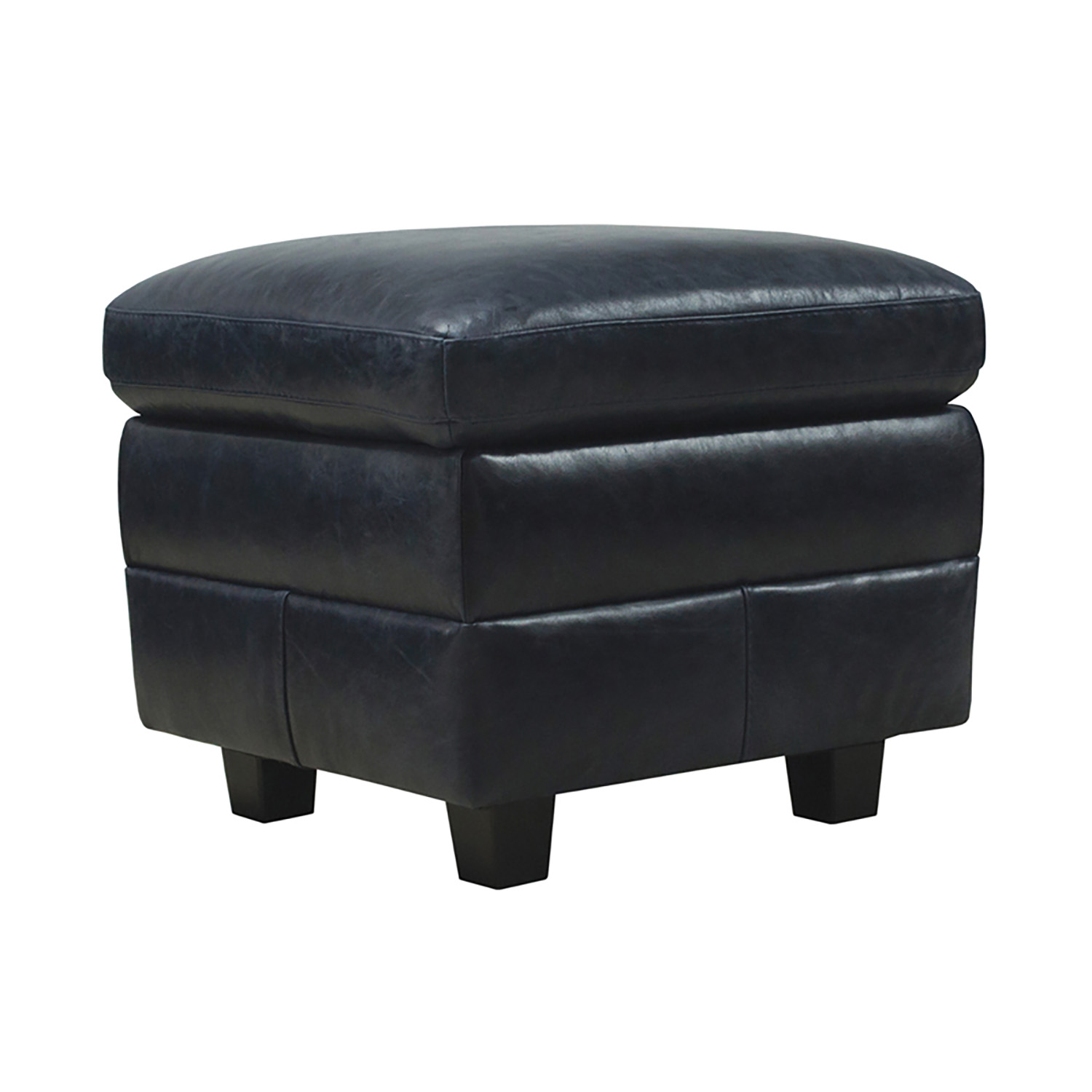 Luke Leather Anya Ottoman Midnight Blue Rita's Furniture & Decor