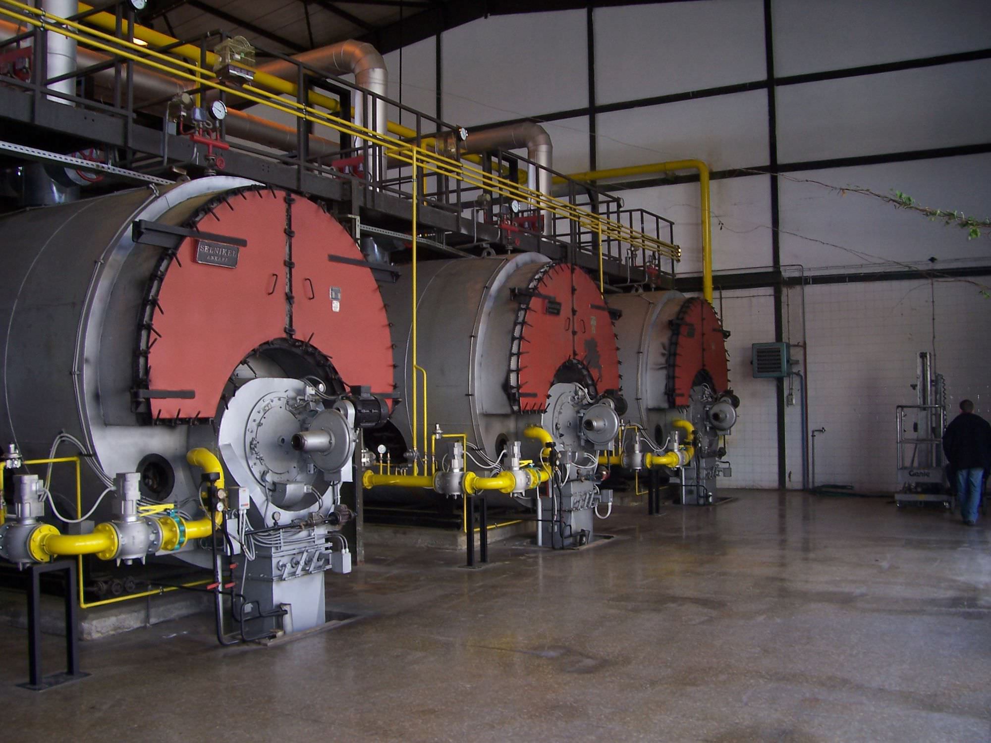 Steam boiler / fire tube RITM Industry