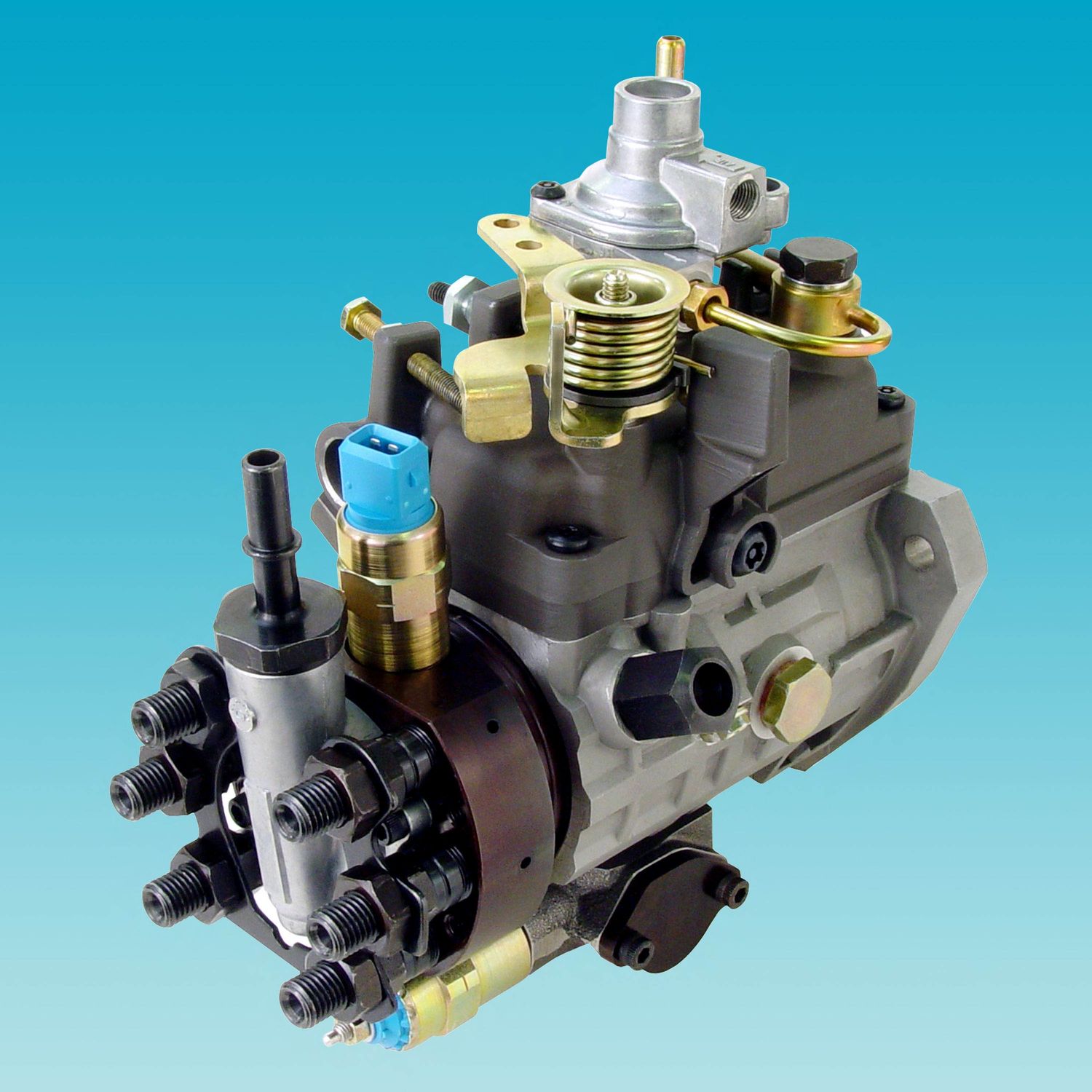 Injection pump / plunger / diesel fuel / mechanical RITM Industry