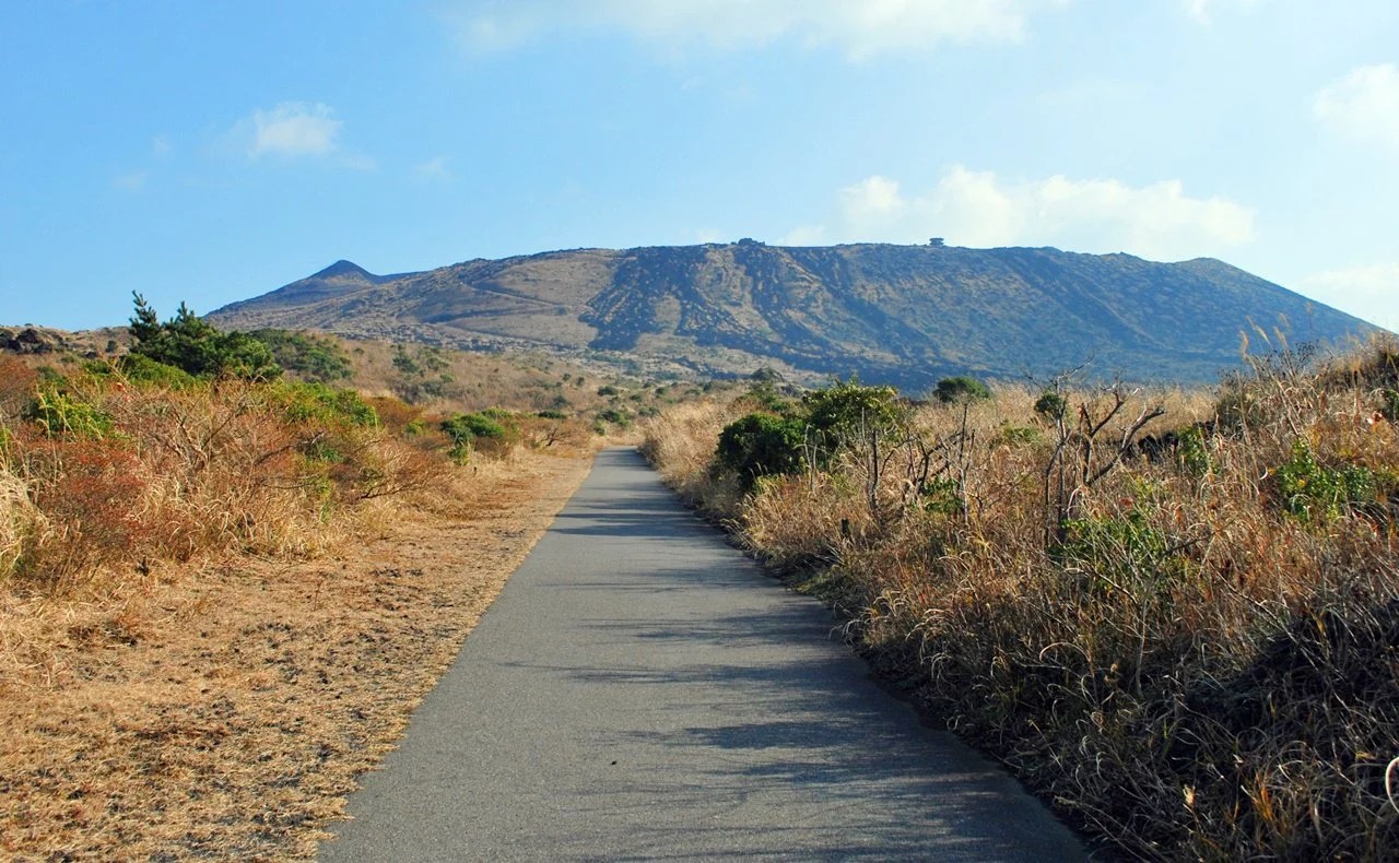 【伊豆大島】レンタサイクル・レンタバイクのスポット6選 離島ガイド