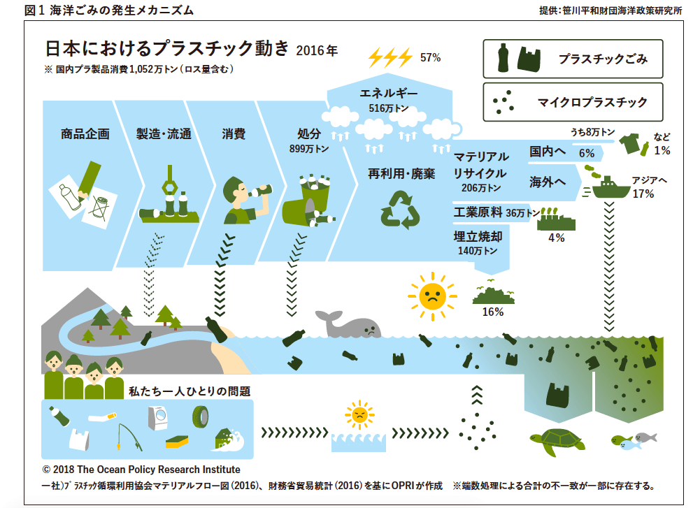 海ごみは世界の大問題。小さな島はいかに立ち向かえるのか？一般社団法人JEANインタビュー【特集｜島と海ごみ】 離島経済新聞