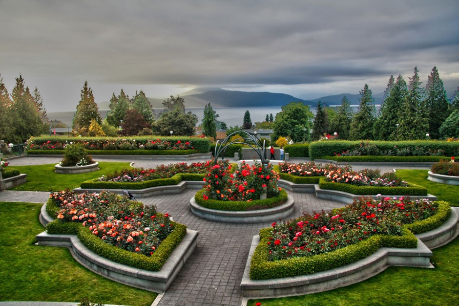 UBC Rose Garden UBC Ritsumeikan