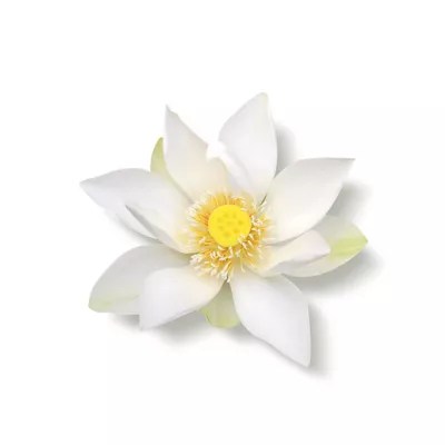 The Ritual of Karma Cooling After Sun Shower Gel Rituals Singapore