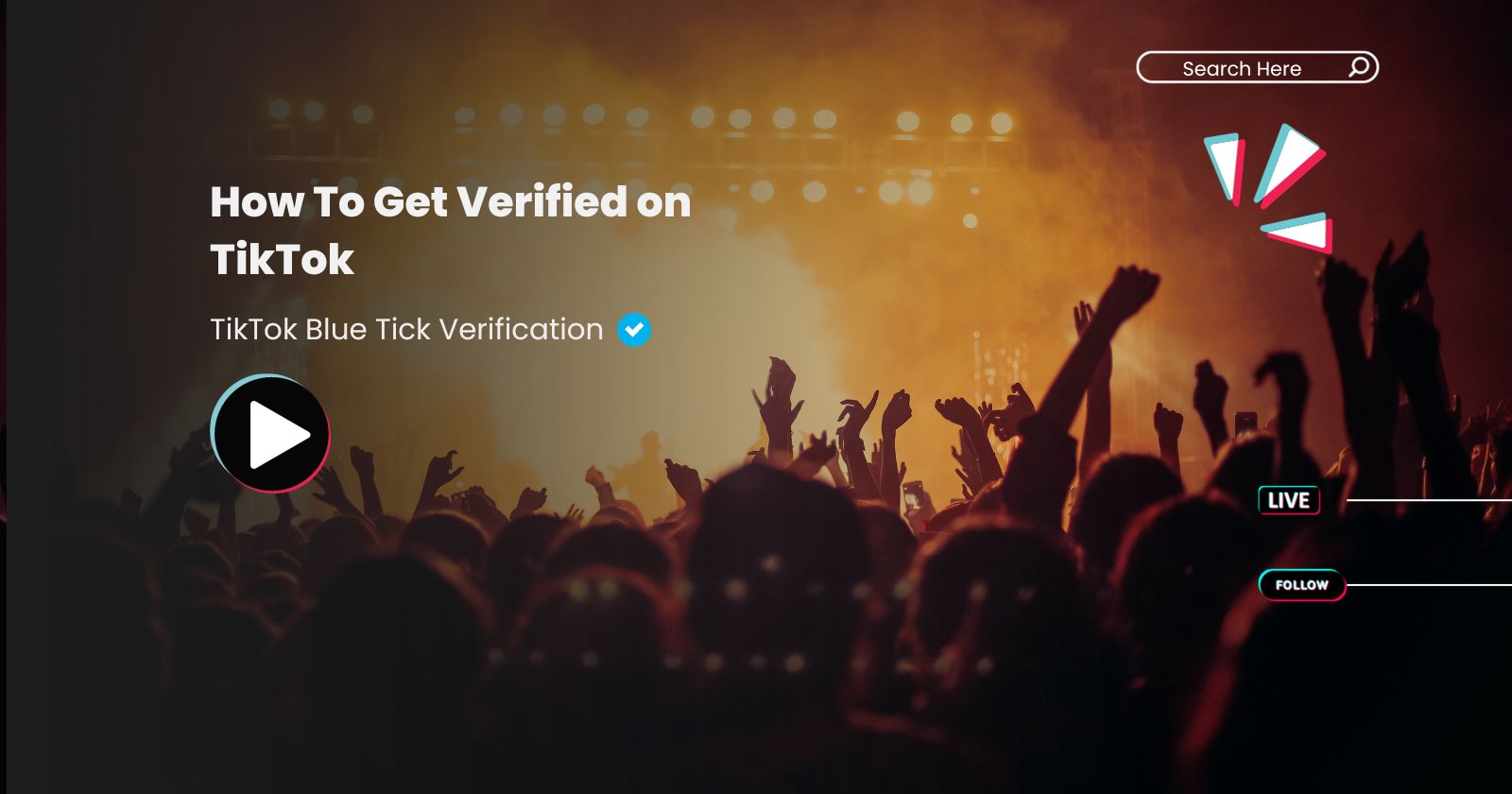 How to get verified on TikTok TikTok Blue Tick Verification