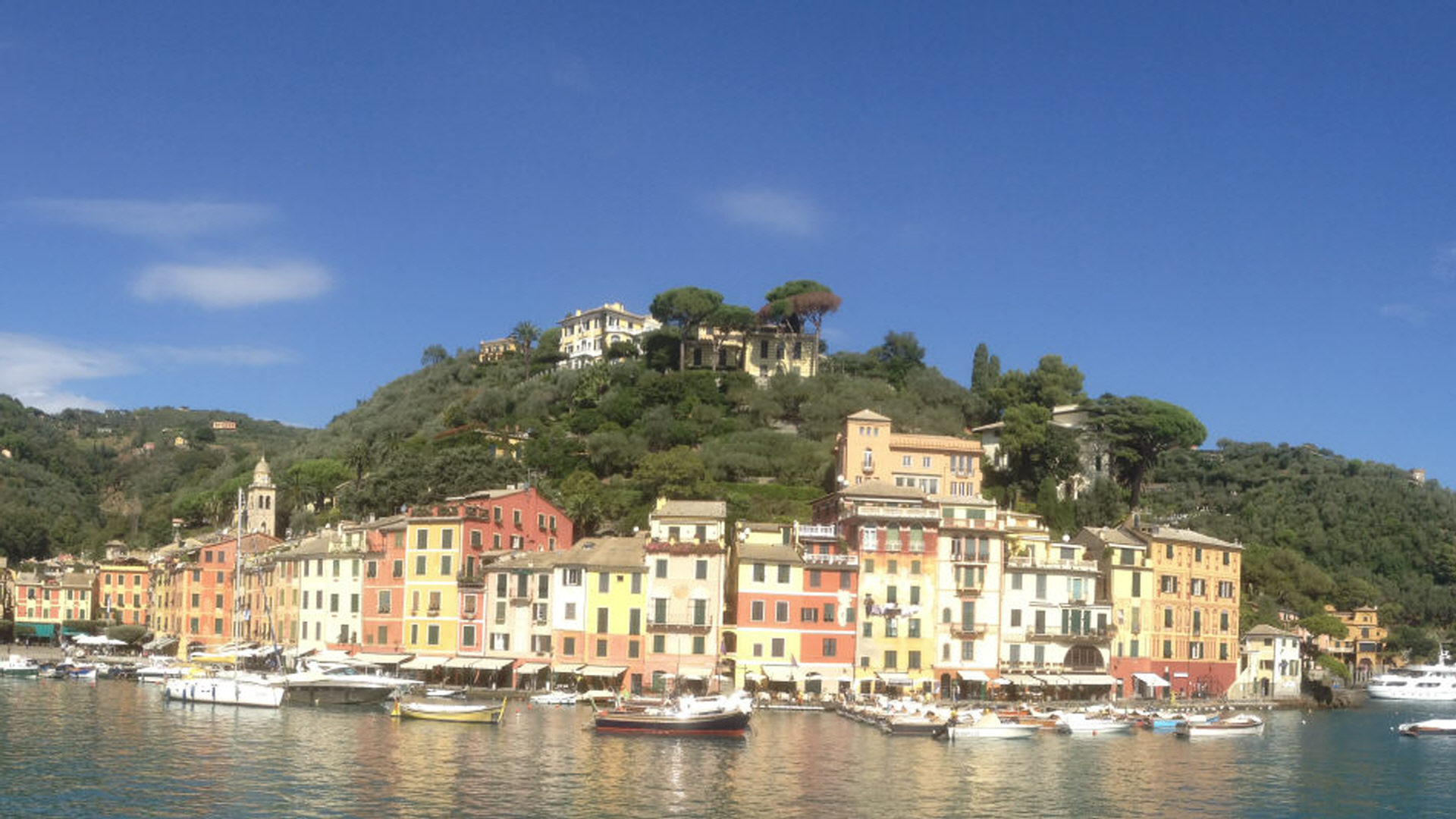 Ritz Real Estate Ltd / Ritz Property