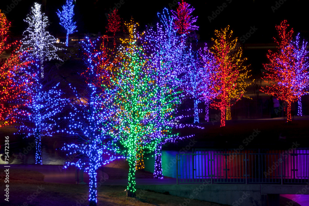 About Ritzy's Fantasy of Lights