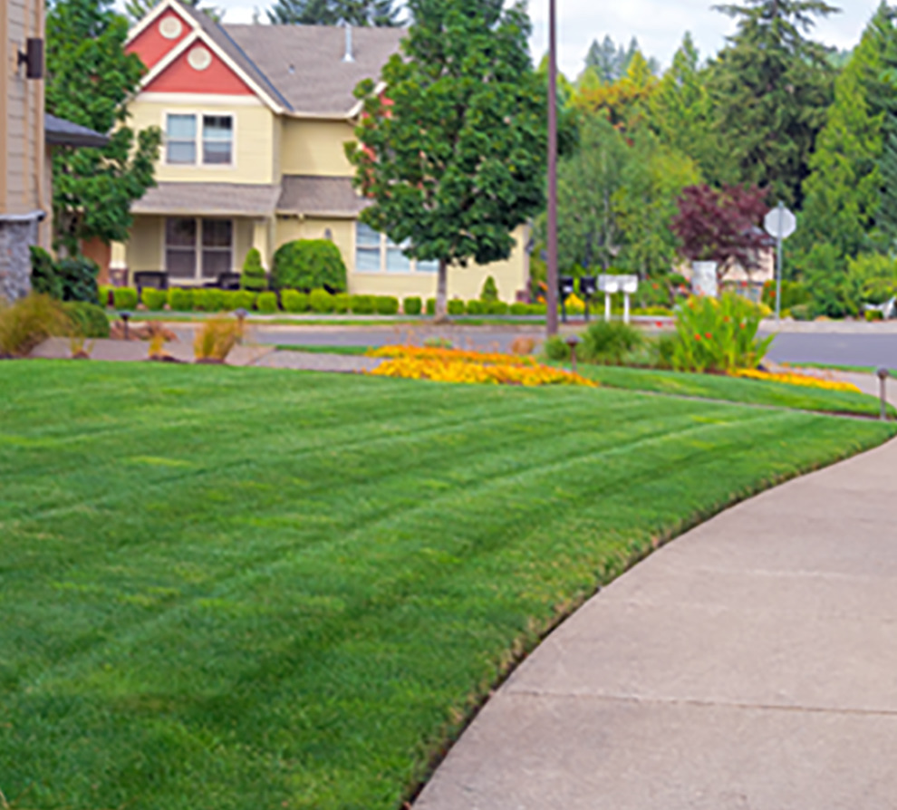 Lawn Care Services Rivas Landscaping