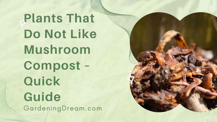 Plants to Avoid When Using Mushroom Compost Riveal