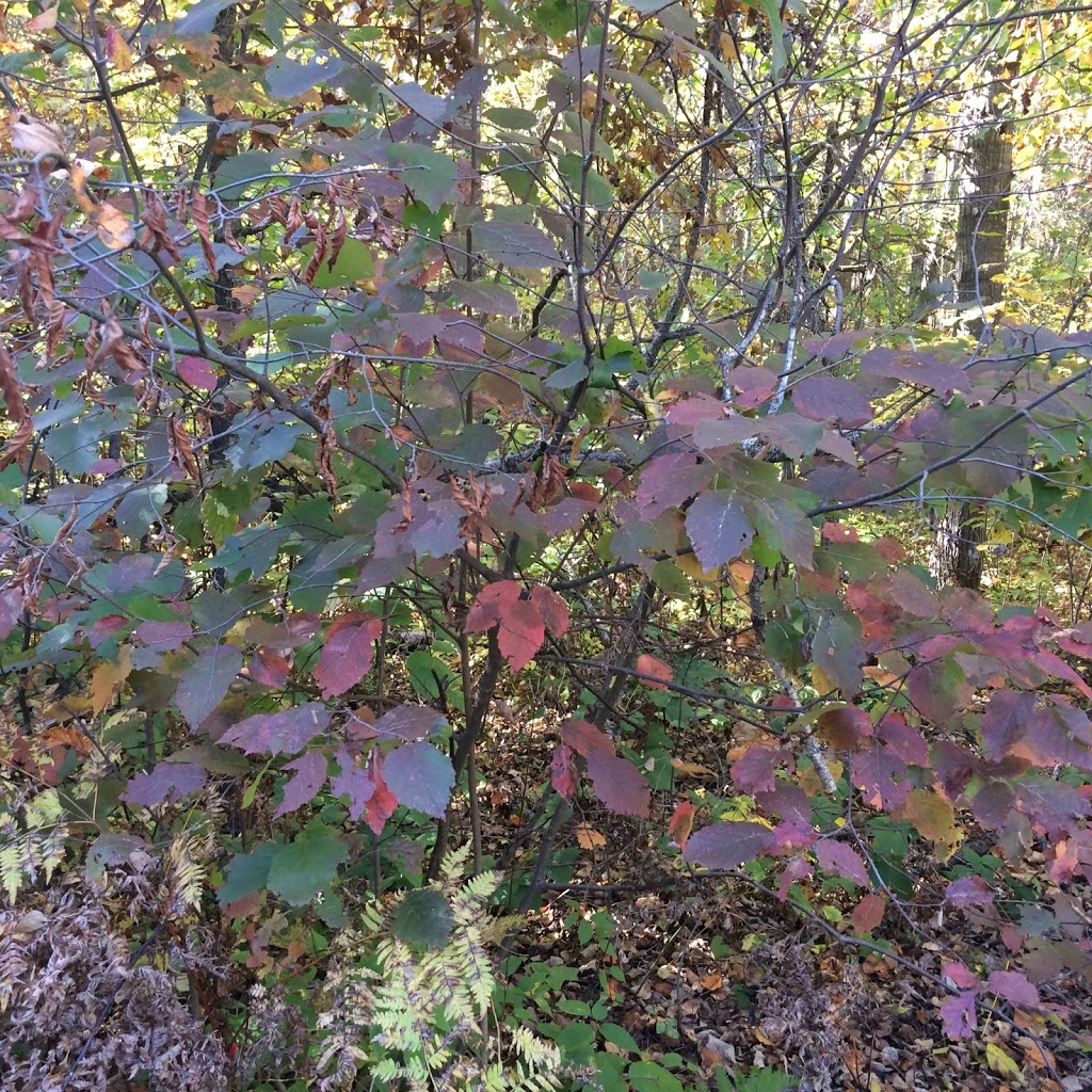 Hazelnut storage Riverbend Hazelnuts