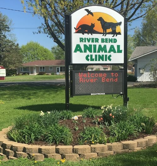 Veterinarian in Moline, IL River Bend Animal Clinic