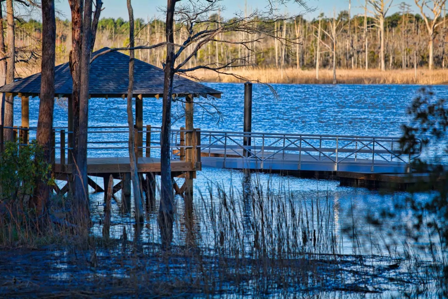 River Bluffs Gallery River Bluffs Living