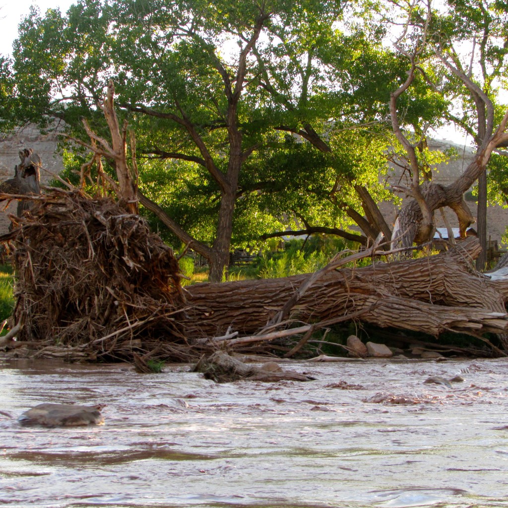 River Safety Don't make light of the might