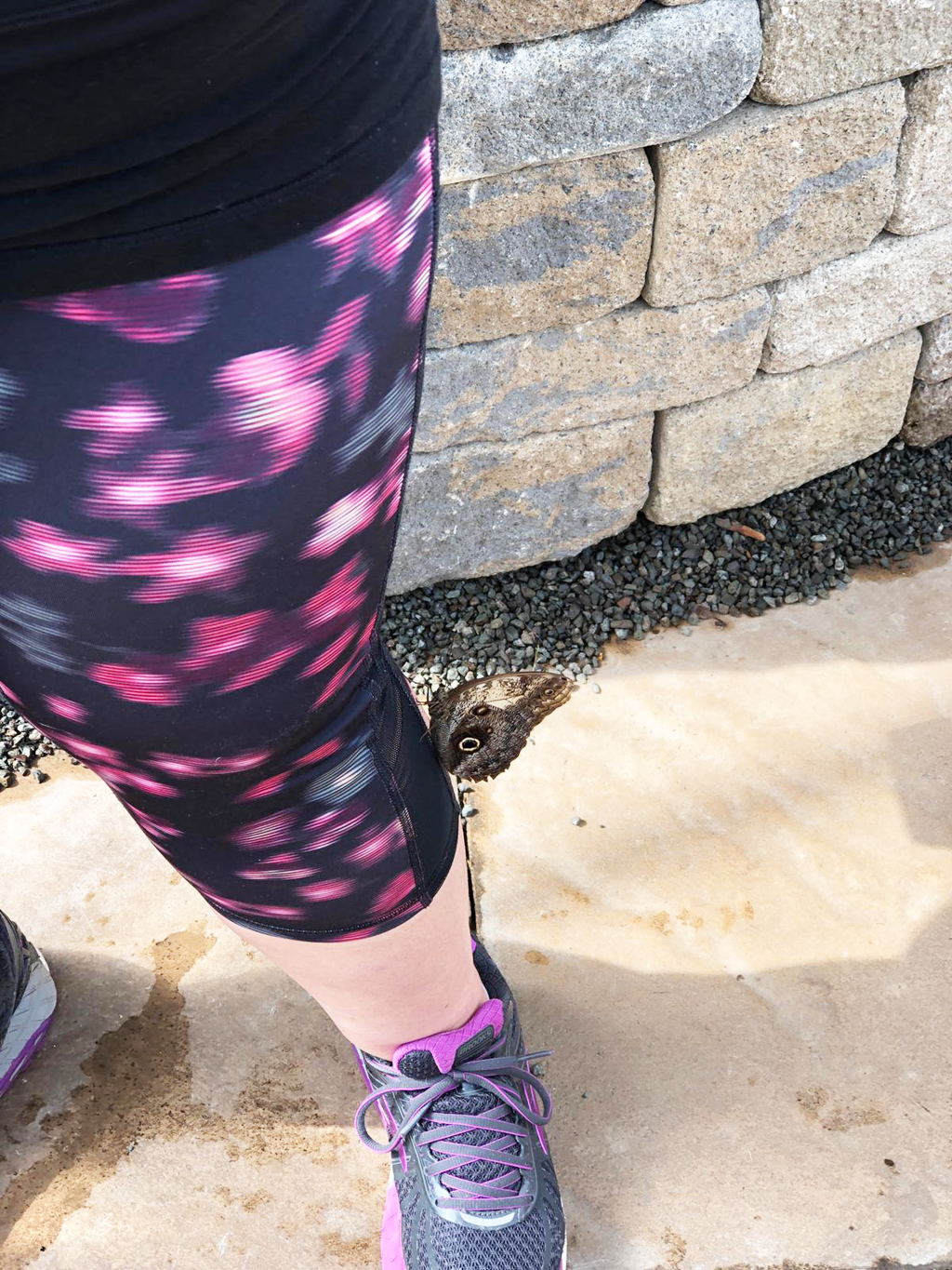 Summer in Richmond Butterflies LIVE! * River City Belle