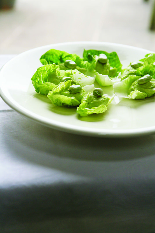 Broad Bean Hummus River Cottage