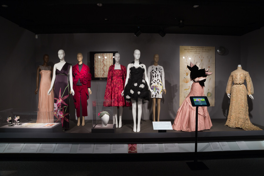 Nature serves as fashion’s muse for garment exhibition The Riverdale